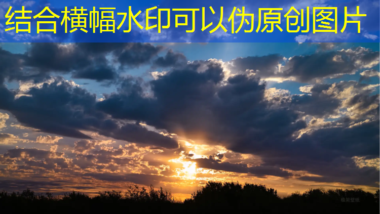 米乐m6官网登录入口为您介绍：室内高级健身房