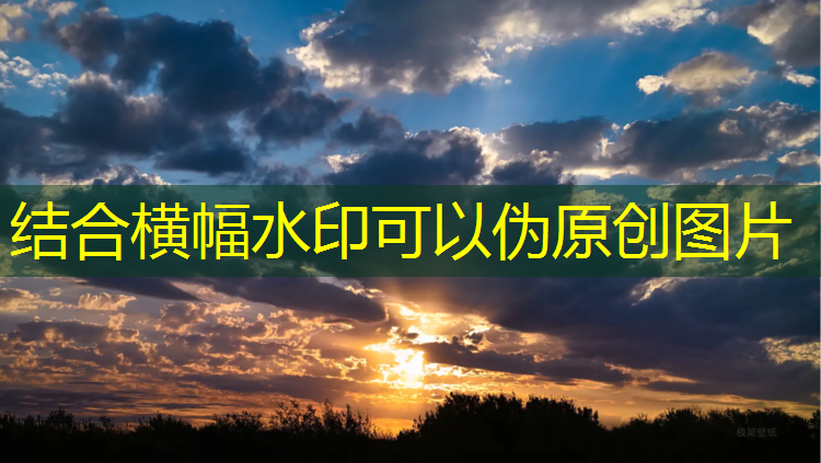 室内健身器材渠道
